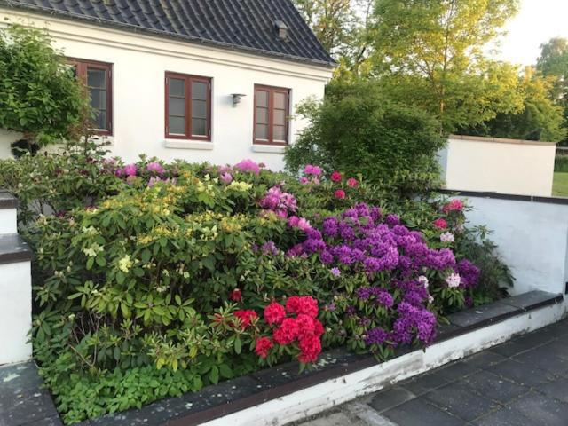 Dreamcenter Ballerup Boulevard 外观 照片