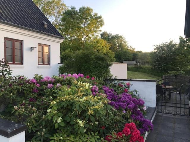 Dreamcenter Ballerup Boulevard 外观 照片