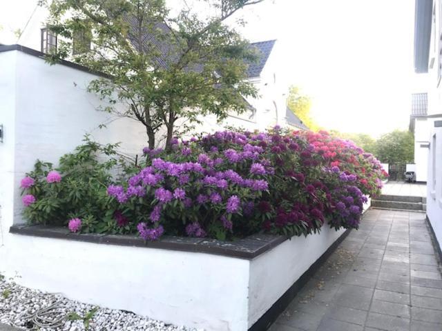 Dreamcenter Ballerup Boulevard 外观 照片