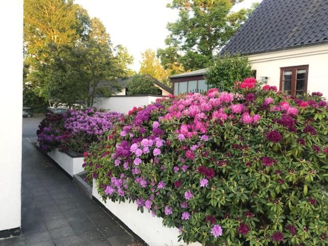 Dreamcenter Ballerup Boulevard 外观 照片